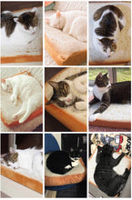 Load image into Gallery viewer, Super Soft Bread Toast Cat Bed/ Cushion  (37*37*6.5cm)