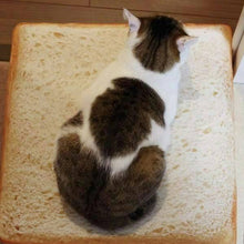 Load image into Gallery viewer, Super Soft Bread Toast Cat Bed/ Cushion  (37*37*6.5cm)