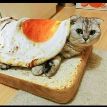 Load image into Gallery viewer, Sunny Side Up Egg Blanket Cover For Small Dogs &amp; Cats (40*40cm)